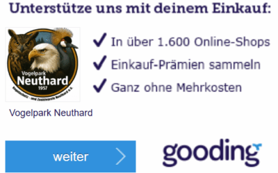 Charity-Shopping: einkaufen & spenden mit Gooding