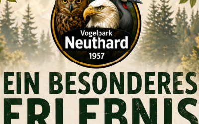 Ein besonderes Erlebnis