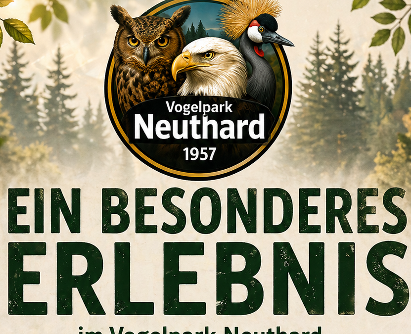 Ein besonderes Erlebnis